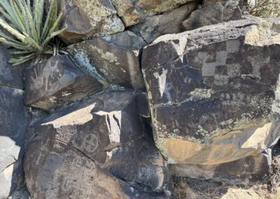 Dark volcanic boulders covered in lichen and carved with petroglyphs, including a checkerboard pattern, a circle with a cross, and small figures, with a spiky yucca plant at the upper left.